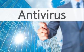 網(wǎng)絡(luò)信息安全系統(tǒng)與相關(guān)軟件開發(fā)概覽